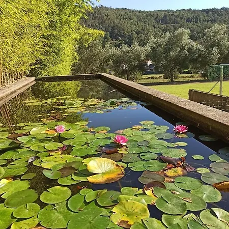 Bed & Breakfast Casa Da Eira - Local Braga