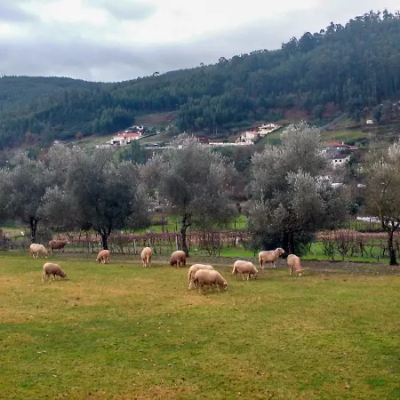 Casa Da Eira - Local Bed & Breakfast 3*