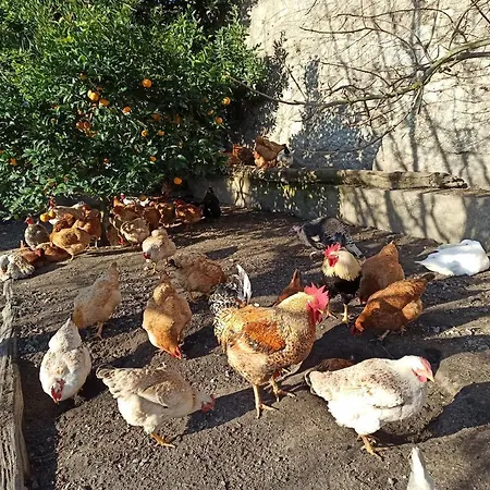 Bed & Breakfast Casa Da Eira - Local *